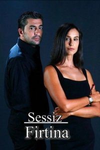 [xfnotgiven_name]Тихая буря[/xfnotgiven_name]