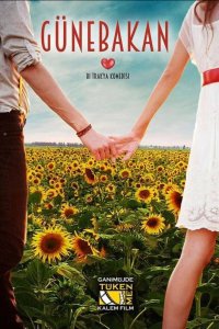 Подсолнух - постер